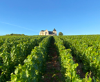 10. Eglise de Chavot où se situe une partie de notre vignoble.